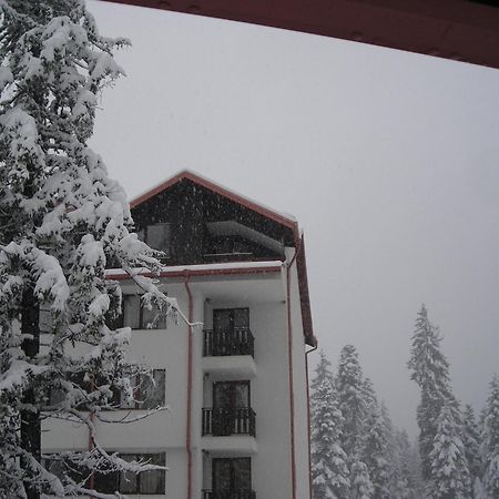 Borovets Gardens Chalet Flat Eksteriør bilde