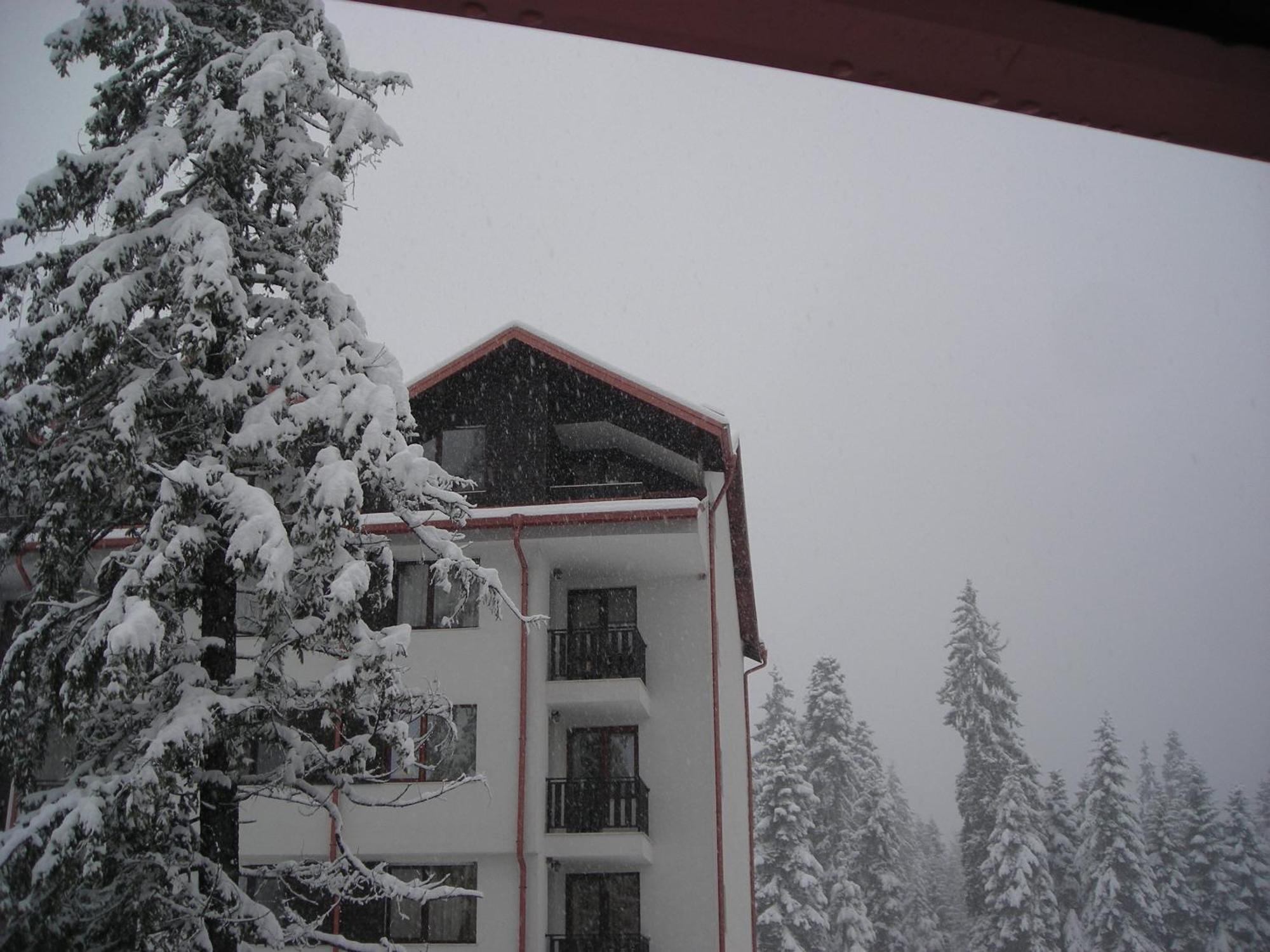 Borovets Gardens Chalet Flat Eksteriør bilde